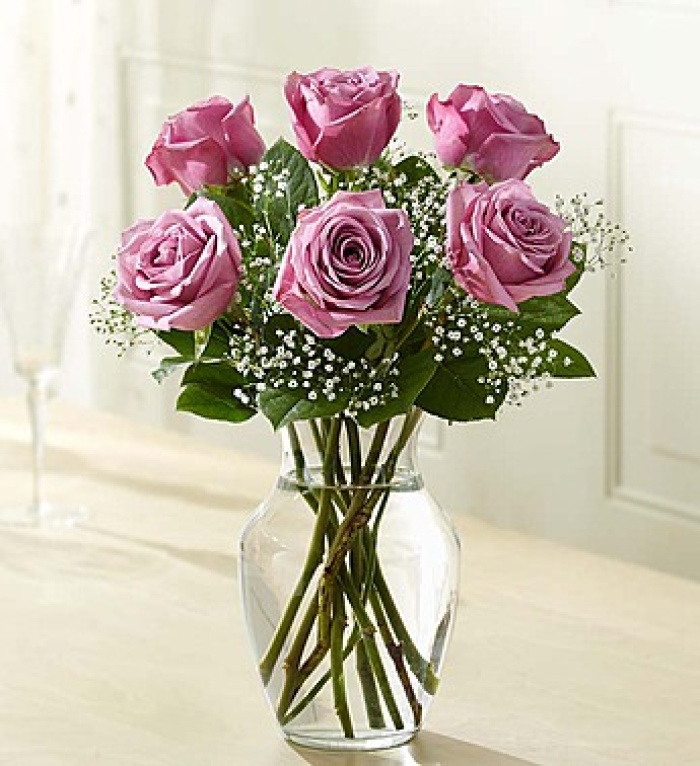 Love&#039;s Embrace&trade; Roses &ndash; Purple