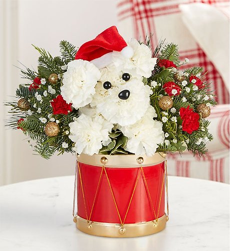 Santa Paws&reg;